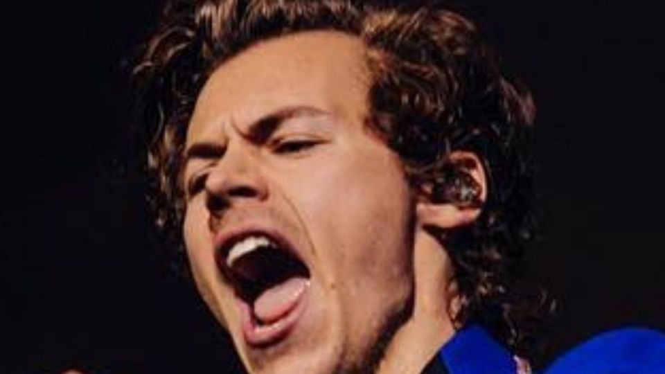 Fuente Instagram @harrystyles