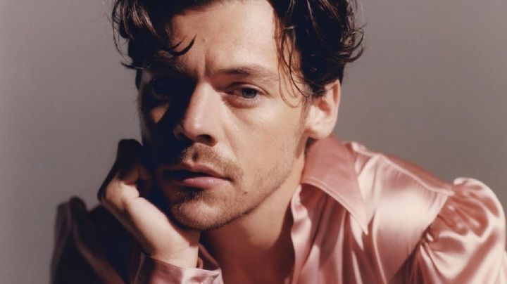 3 looks de Harry Styles que tienes que probar sí o sí
