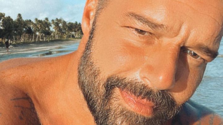 Así lucen los gemelos de Ricky Martin, a sus 13 años