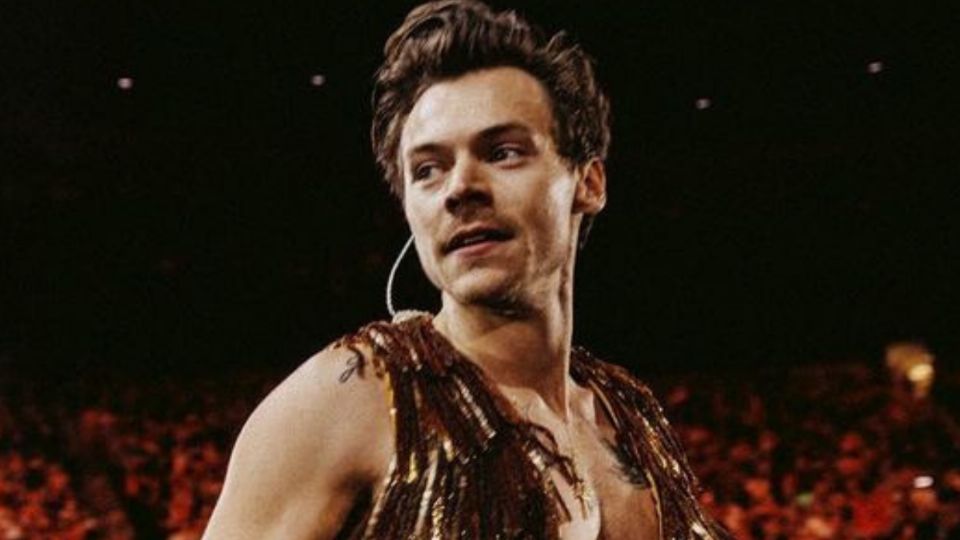 Harry, posando. Fuente: Instagram @harrystyles