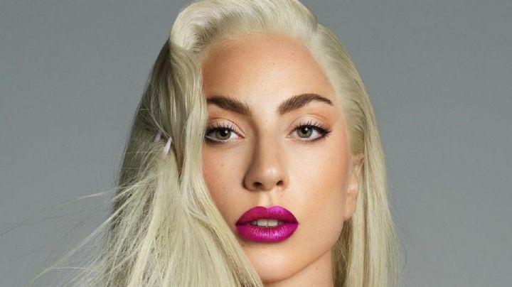 Esto es lo que hará Lady Gaga para que encuentren al hombre que atacó a sus perros