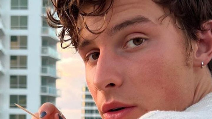 Esta es la particular razón por la que Shawn Mendes canceló todos sus conciertos