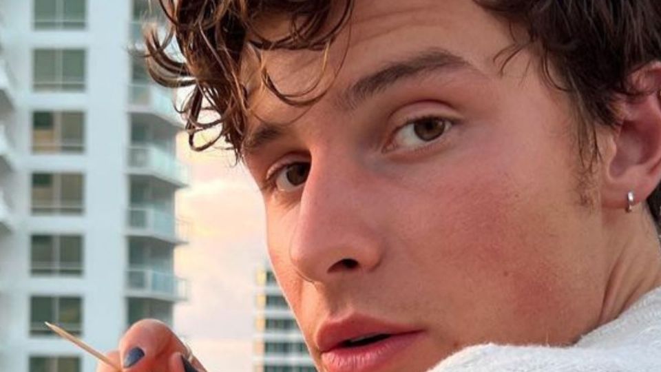 Fuente Instagram @shawnmendes
