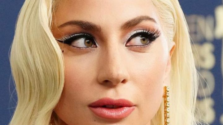 Lady Gaga recibe un golpe con un peluche y estallan los memes