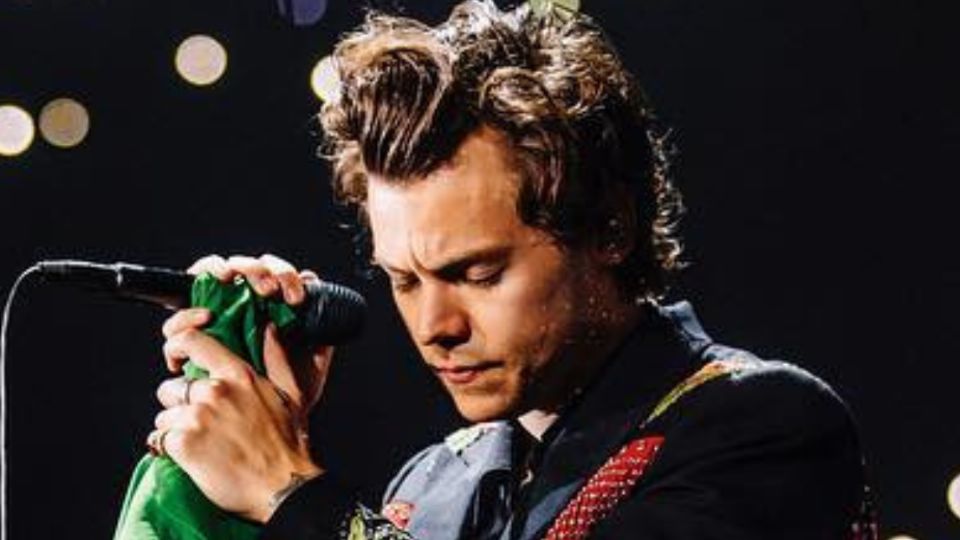 Harry, posando. Fuente: Instagram @hshq