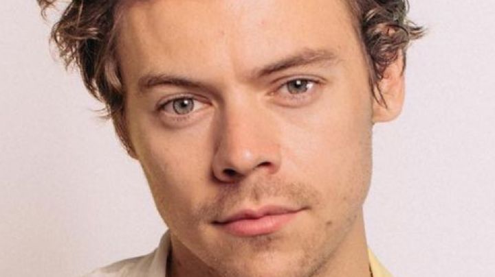 Harry Styles: este es el impensado nivel de estudios del cantante