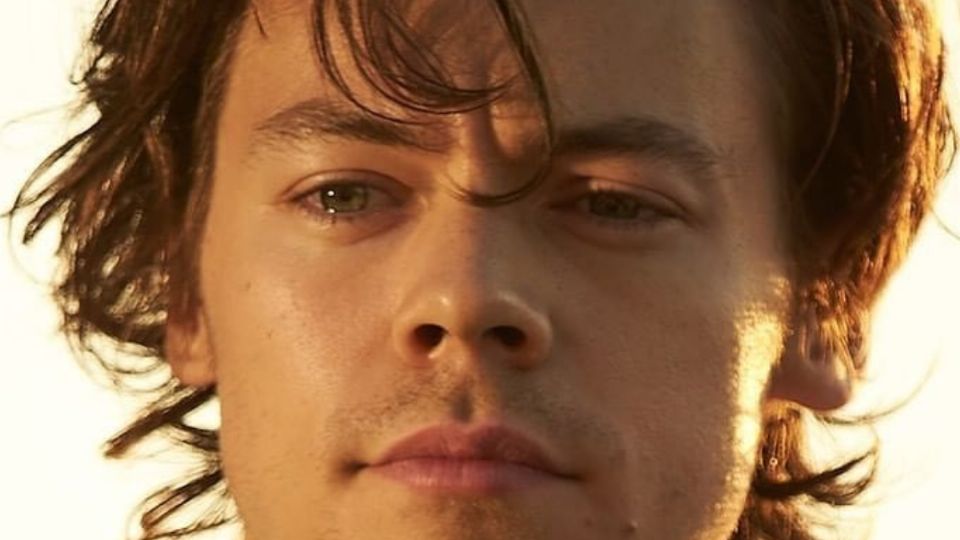 Harry, posando. Fuente: Instagram @hshq
