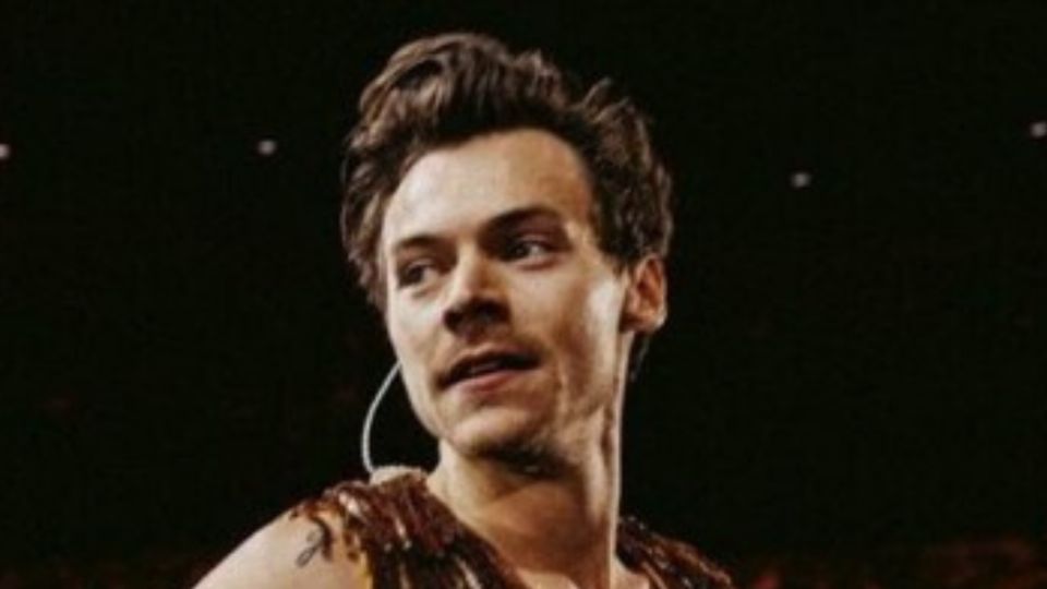 Harry, posando. Fuente: Instagram @hshq