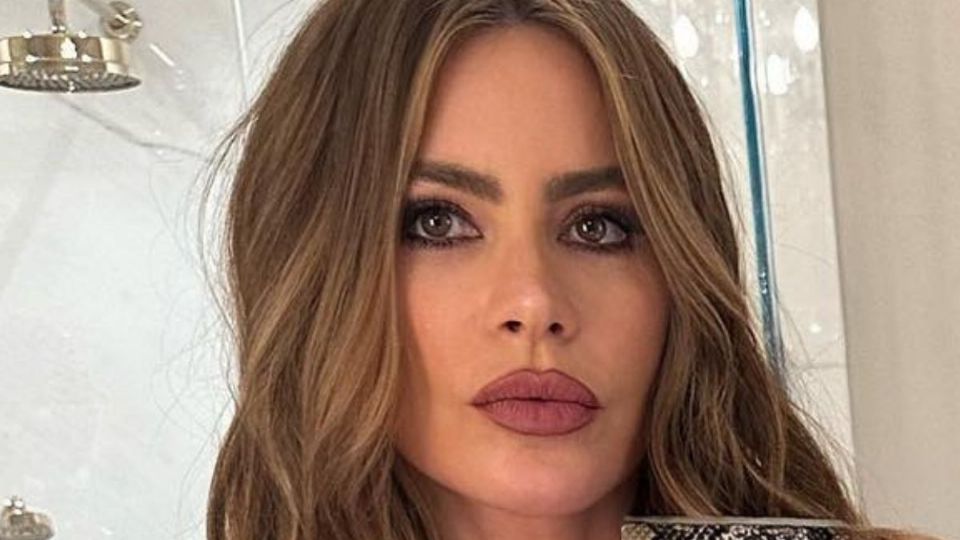 Fuente: Instagram @sofiavergara