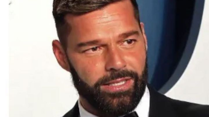 Quién fue la joven fanática que pudo abrazar a Ricky Martin en Buenos Aires